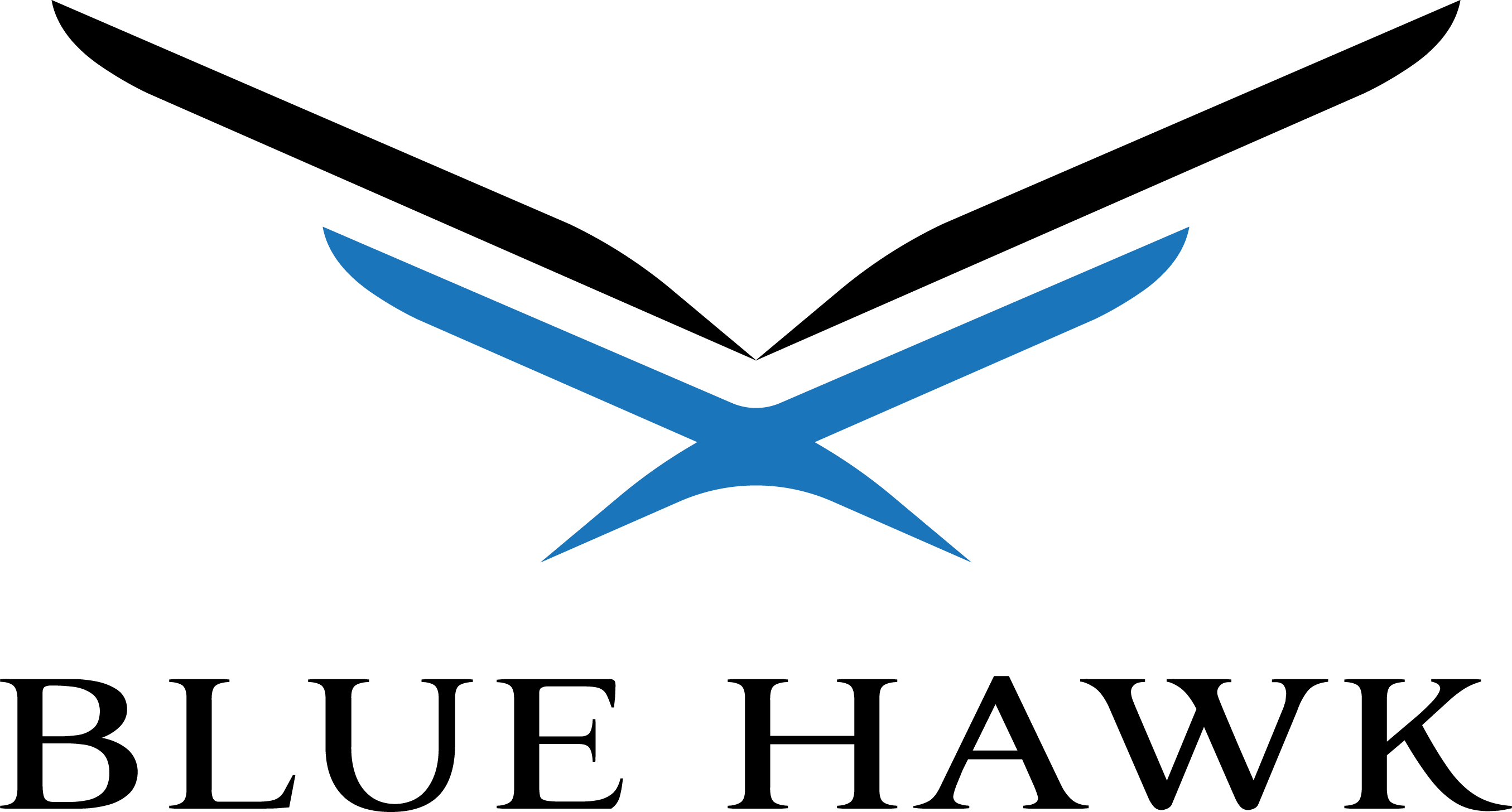 Blue Hawk Logo Design_Trans