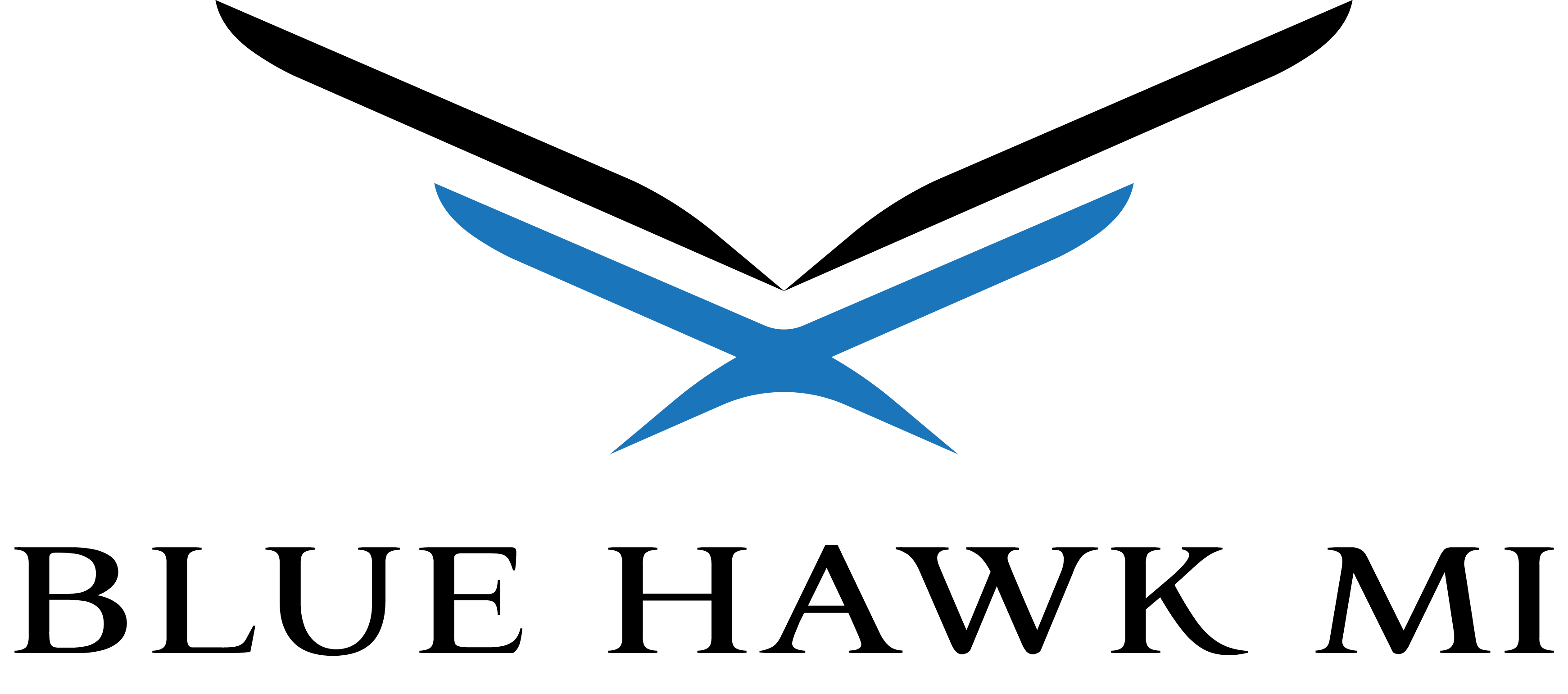 Blue Hawk MI Logo Design